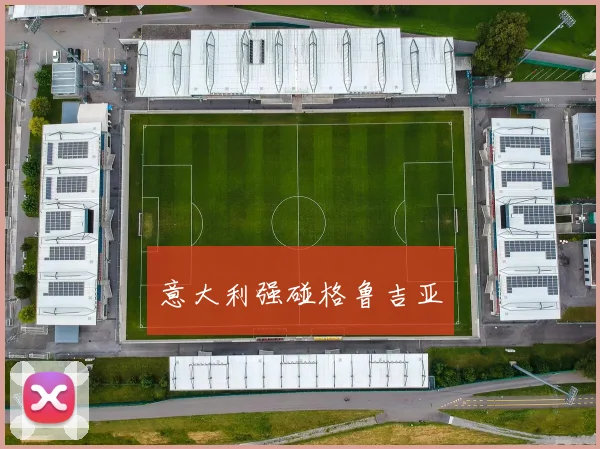 意大利强碰格鲁吉亚