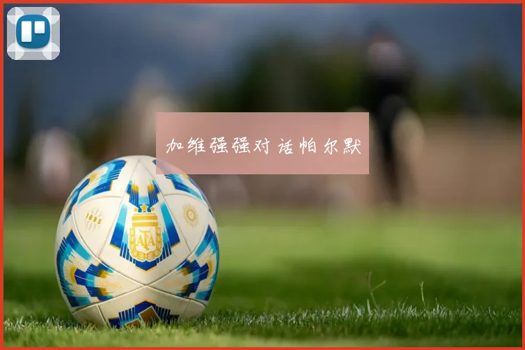 加维强强对话帕尔默
