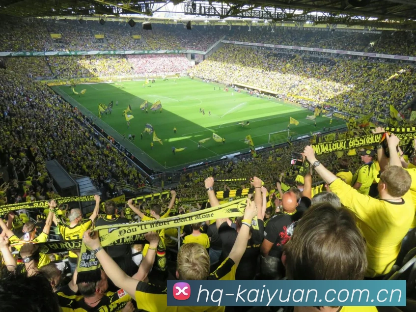 开元棋盘官网平台生态图